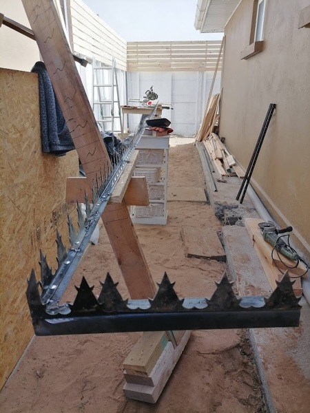 Preparación diente tiburón