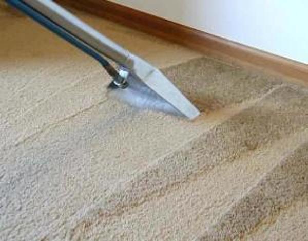 Lavado, Aspirado y Desinfectado de Alfombras | Ideas Limpieza