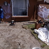 50 % instalacion de adocreto (compactacion de arena gruesa)