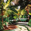 Remodelar jardín, paisajismo