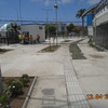 Avance