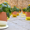 bag-disseny-livingthings-rolling-flower-pots-designboom-061