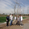 Canchas futbol-7, Rancagua