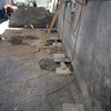 Creacion de simientos