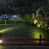 entrada