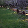 entrada