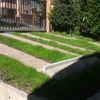 Entrada para 2 vehiculos