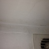 extractor malo