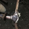 Fusión de soldadura exotérmica de Malla tierra