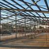 Galpones  pilares compartidos