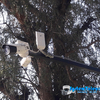Instalación de NVR con 9 Cámaras Digitales de seguridad http://www.systemtelecom.cl/
