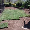 Instalación pasto alfombra