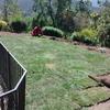 Instalación pasto alfombra