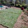Instalación pasto alfombra