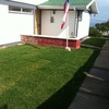 Instalación riego automático, pasto en palmetas.