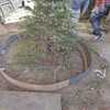 Jardinera circular