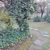 Mantención de jardín casa