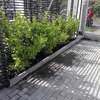 Mantención de jardín casa