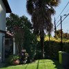 Mantención de jardín casa