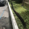 Mantenimiento Drenajes Aguas Lluvias