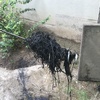 Mantenimiento Drenajes Aguas Lluvias
