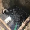 Mantenimiento Drenajes Aguas Lluvias