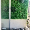 Muro verde