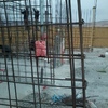 obra gruesa