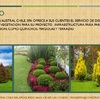 PAISAJISMO