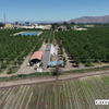 panorámica 1