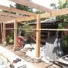 Pergola en desarrollo