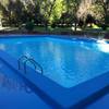 Pinto Piscina Club de Campo 