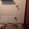 Proceso de frizado de muro