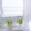 Ventanas en PVC