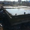 Radier algarrobo