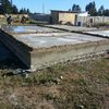 Radier algarrobo