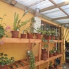repisas para flores
