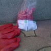 Rodenticida pellet