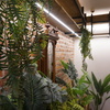 Salón segundo piso