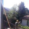 Tala de Encino seco situado en domicilio en Las Condes