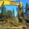 Talado del bosque con Maquinaria