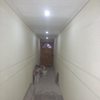 Trabajos de pintura e iluminación