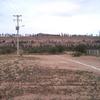 Trazado de calles