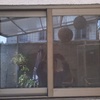 Ventana t.panel