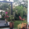 Vista del jardin