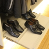 zapatero extraible