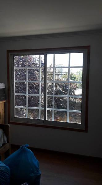 ¿Dónde puedo pedir protección para ventana?