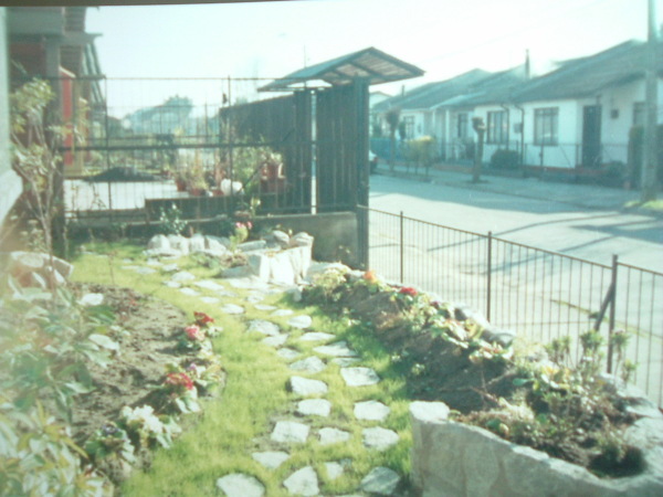 especificar el valor 