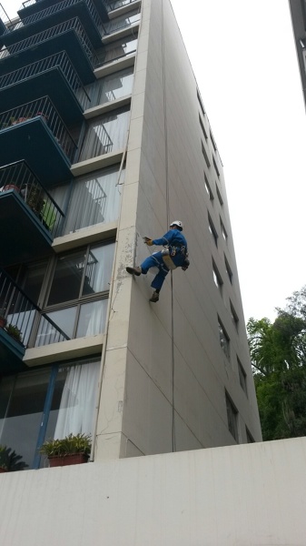 Tipo de trabajo, pintura por estética o por humedad? 