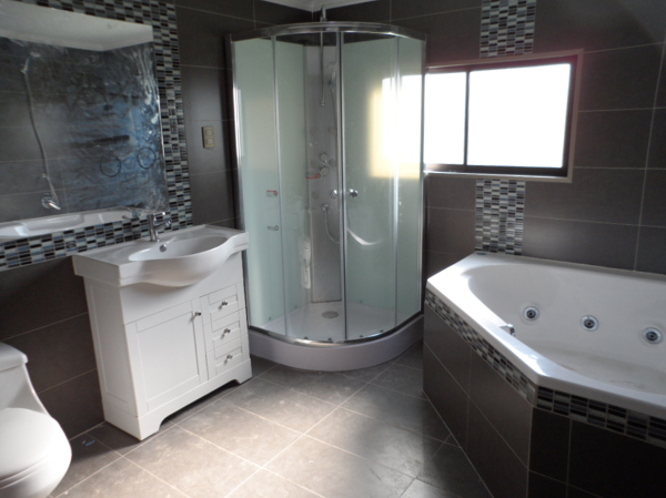 Título de ejemplo: '¿qué tipo de pintura se ha utilizado?' o '¿de qué marca es el lavabo?'